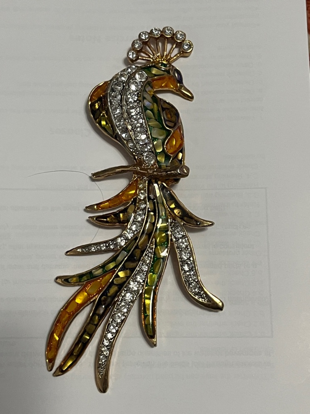 Birds of Paradise Peacock modern brooch